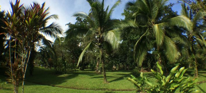 Caribbean Paradise Eco-Lodge Hotels in Colorado