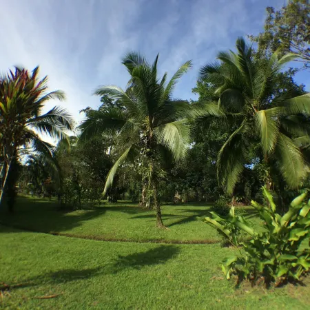 Caribbean Paradise Eco-Lodge