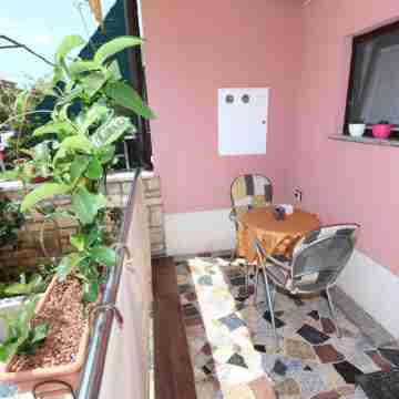 Room and Apartment Lea Others