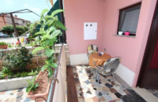 Room and Apartment Lea