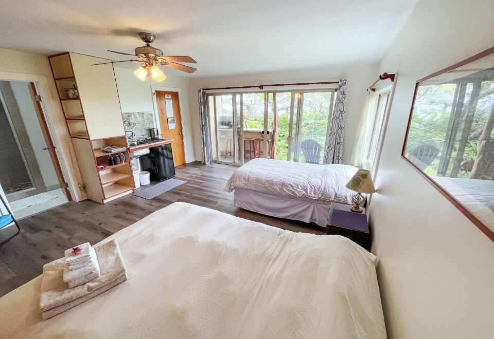 솔직 후기 이미지