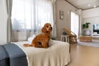 Little Santa - balcony