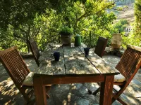 Terrace Houses Sirince - Fig, Olive Clockmakers and Grapevine Hotels in Sirince