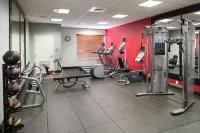 Hilton Garden Inn Dothan - Gym