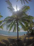 Rinjani Beach Eco Resort - Beach
