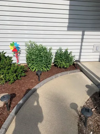 Duplex in the country ten minutes from Frankenmuth-Betty’s Birch Run Road Place. Отели в г. Tuscola County