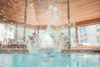 Ann Arbor Regent Hotel and Suites - piscina