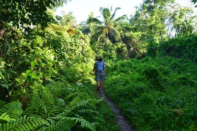 ホテル周辺 ヴァイスロイバリの写真