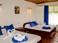 Termales del Bosque & Hot Springs Hotele w: Ciudad Quesada