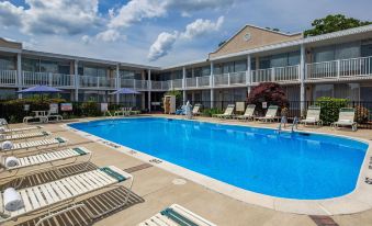 Best Western Fredericksburg