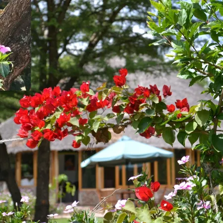 Osero Enarau Camp