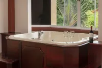 Hotel Magic Mountain Spa & Conference Center - Hot Springs