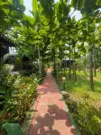 Go Green Spice Eco Resort Hotels in Carmona
