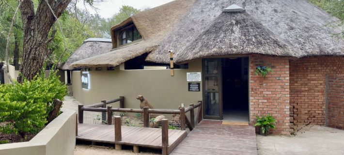 Singwe Private Safari Lodge Kruger Hotels in Marloth Park