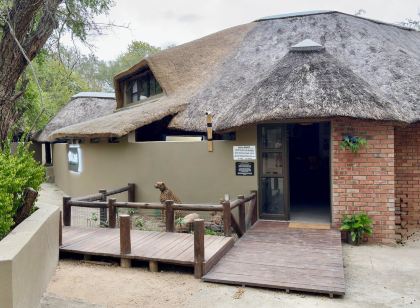 Singwe Private Safari Lodge Kruger