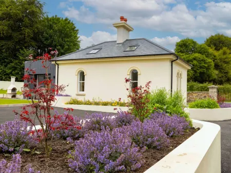 The Forest at Mount Congreve Gardens