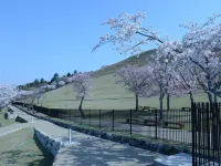 Mountain Home Lodge in Deer Park Hotels in Nara City