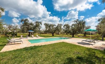 2770 Uliveto Valeria - Trullo Melograno by Perle di Puglia