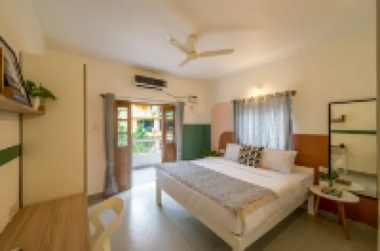 โอลีฟ โฮเทล คาลังกูเต นิวามซา บาย เอ็มบาสซี กรุ๊ป