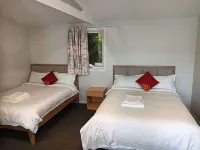 2 double and 1 sofa beds garden chalet, 7D Salisbury Road, Rotorua