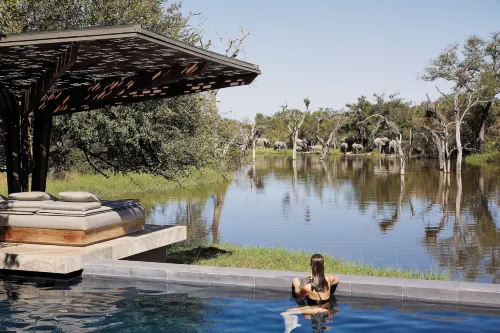 Cheetah Plains - Villas