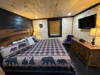 Bear Paradise Cabin–Hot Tub, Mini Golf, Court, Game Room, EV Charger & Fireplace