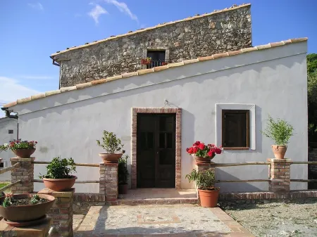 Adorable studio surrounded by greenery, ideal for couples