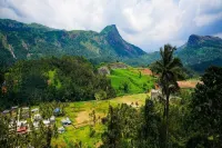 Colorful Artifacts and Modern Decor Hut Stay