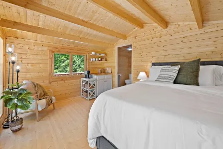 PRIVATE Tiny Cabin+90 acres of hiking+baby goats