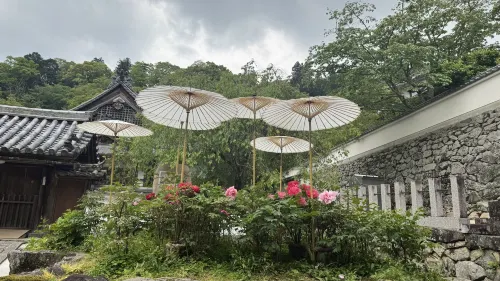 sakura - Villas