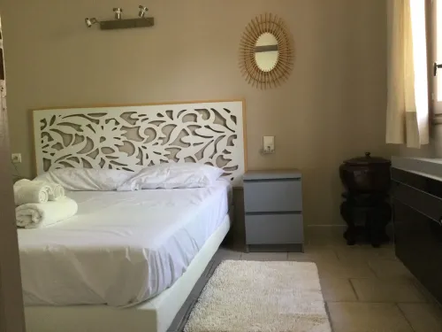 Property in the vaucluse province: Infinity pool / Jacuzzi / View