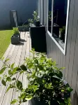 Pukehina Retreat & Lodge