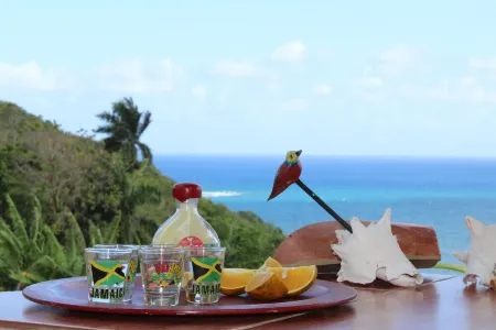 Free Transportation. Private Villa.  Amazing Ocean View, Pool, And housekeeper.