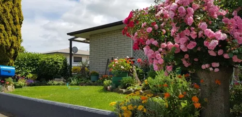 One on Vogel. Các khách sạn ở Woodville