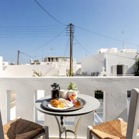 Pelican Paros
