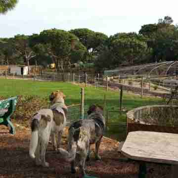 Spacious villa with large garden & private pool-quiet area near Quinta do Lago Hotel Exterior