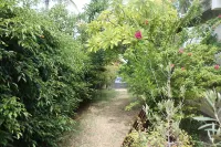 Seasonal rental 200m from the lagoon and beach at La Saline les Bains. La Réunion Hotels in La Saline-Les-Bains