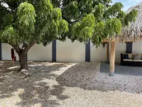 Private Oasis Hotels near Queen Beatrix International Airport