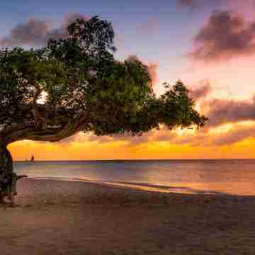 Best Sunset View in Oceania Resort w/King Bed Fitness & Recreational Facilities