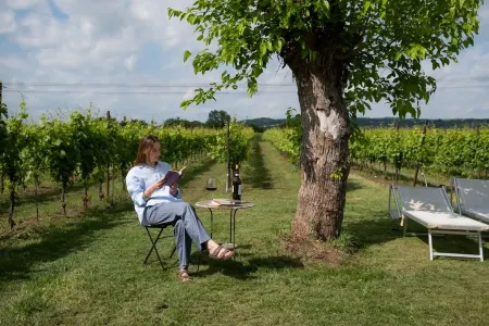 Vacation Cottage La Vigna with Pool