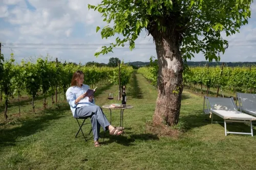 Vacation Cottage La Vigna with Pool