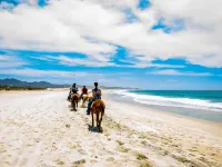 Luxury Beach Front Condo in Beautiful Punta de Mita Hotels in Punta de Mita