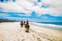 Luxury Beach Front Condo in Beautiful Punta de Mita