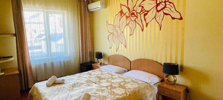 Pensiunea Ileana Hotels in Sibiu