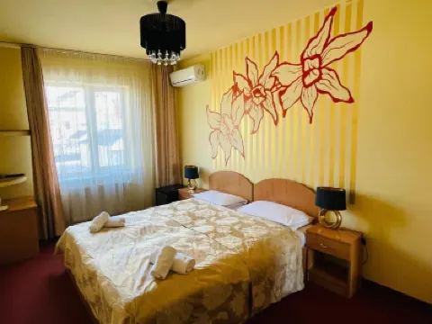 ペンシウネア イレアナ のホテル