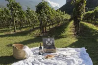 Residence la Vigna Hotels in Arco