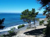 Honeymoon Cove at Crook Point Hotels in Gold Beach