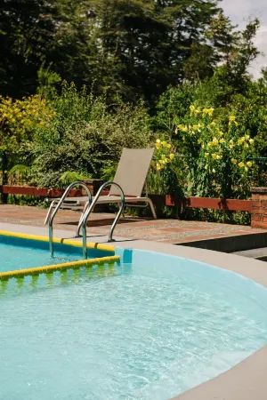 Cabañas Metreñehue - Parque Metreñehue