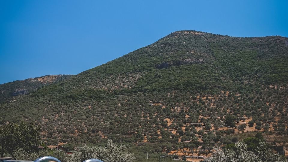 Natureland Efes Pension