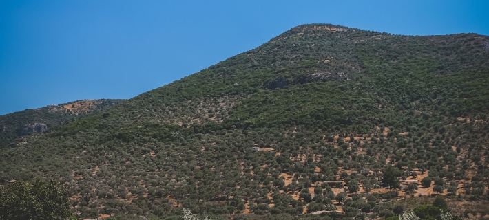Natureland Efes Pension Hotels in Sirince